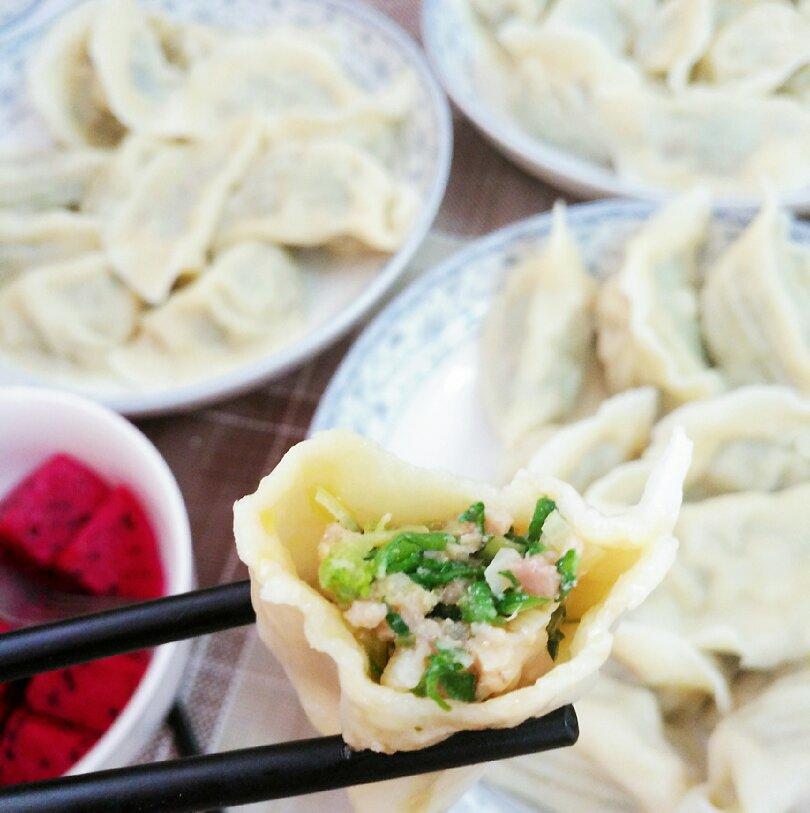 荠菜鲜肉饺子