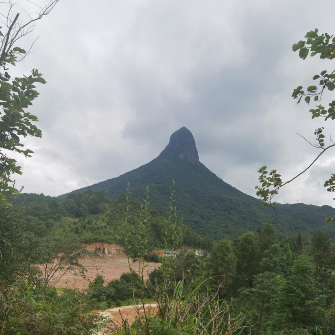 小兔子爹地