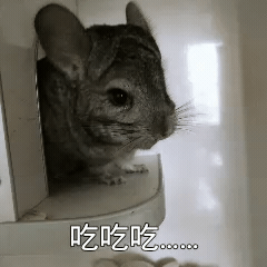 超级鲜嫩的吐司~日常记录