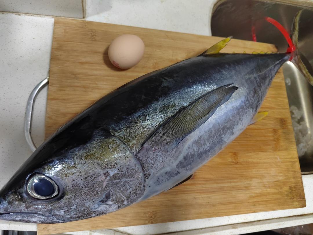 金枪鱼吃法（从杀鱼开始）