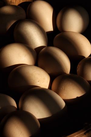 鸡蛋的一万种吃法的做法 步骤1