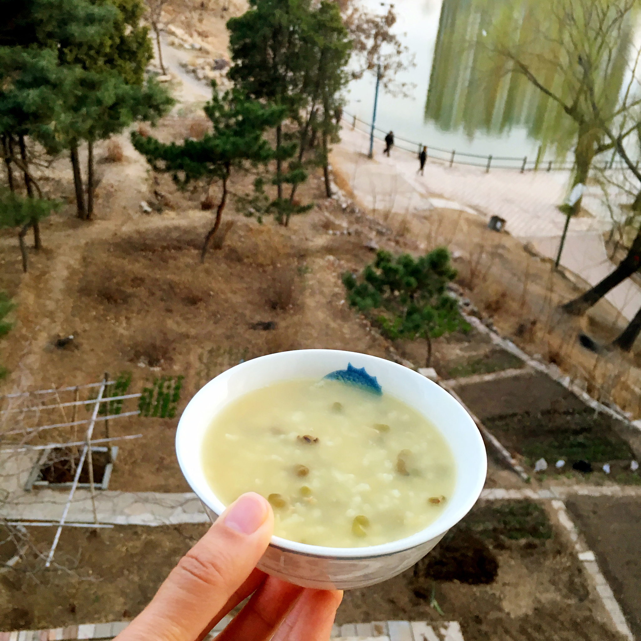 午餐•2016年4月5日