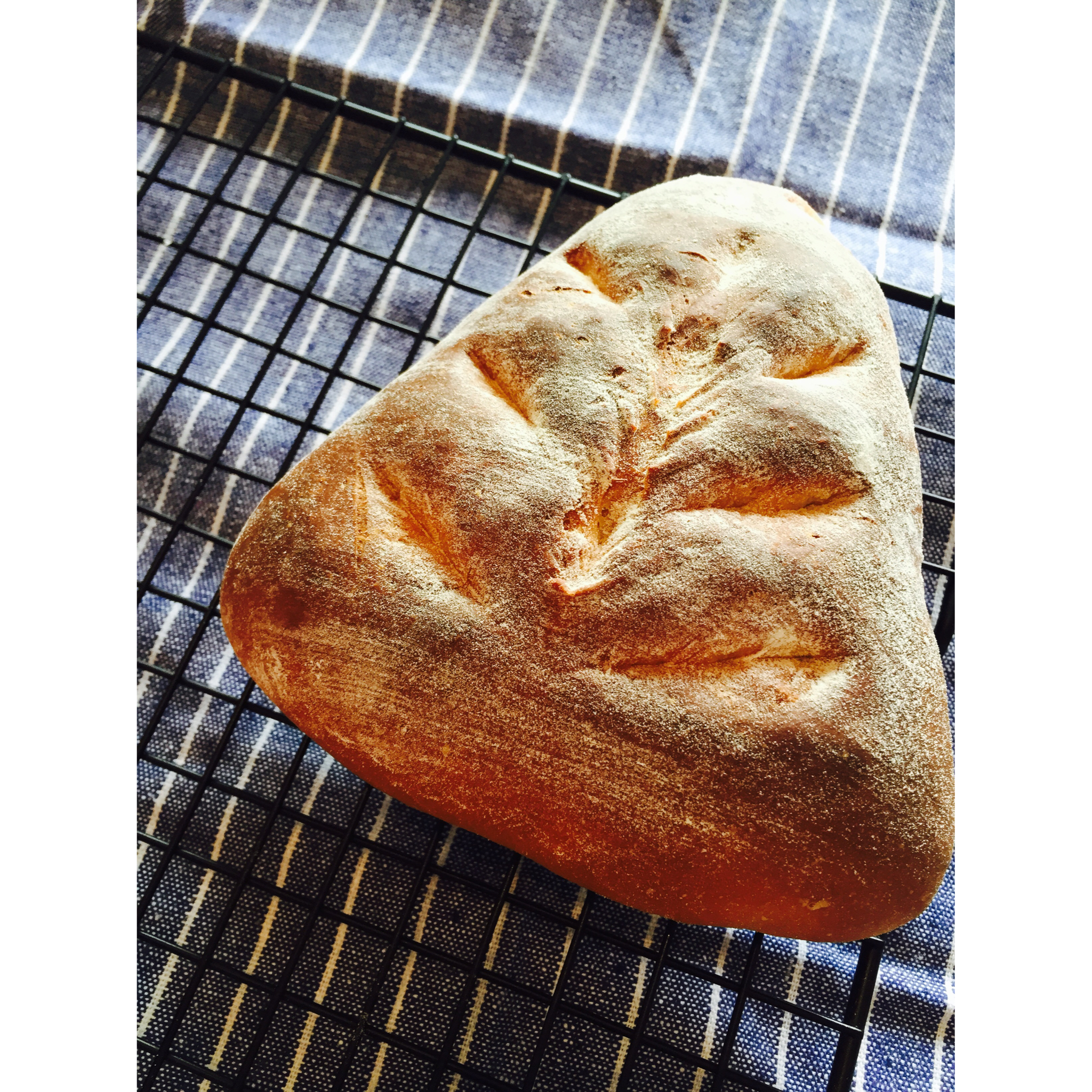 优雅蓝莓牛奶面包