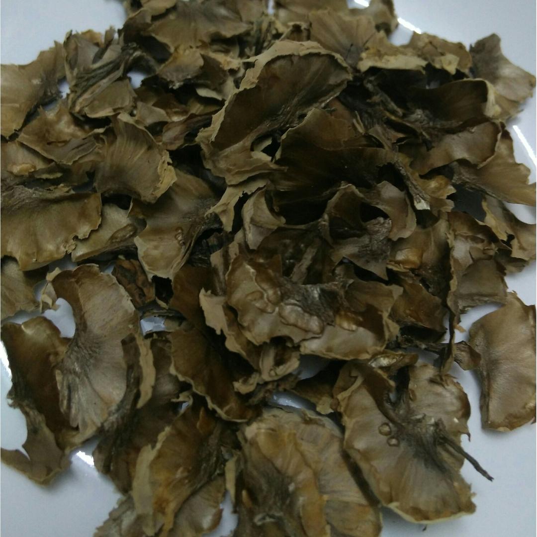 核桃分心木