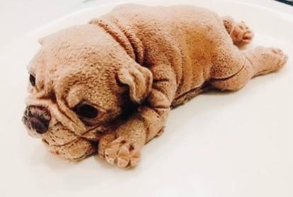 网红沙皮狗慕斯蛋糕