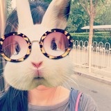 学下厨的dddu