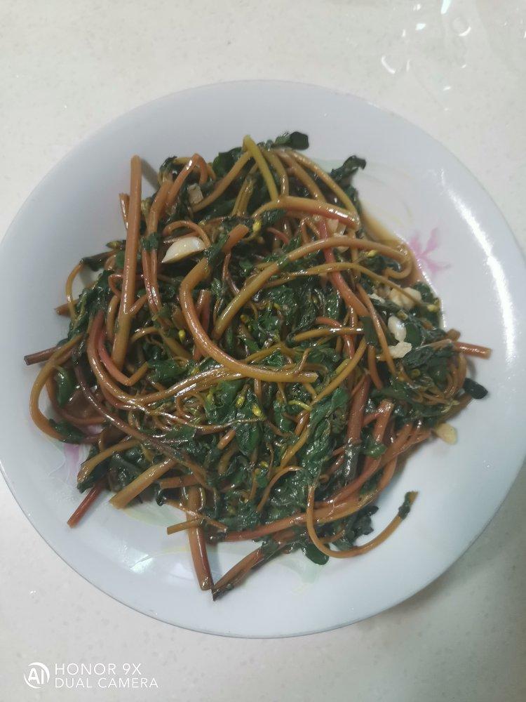 保健时令蔬菜马齿苋