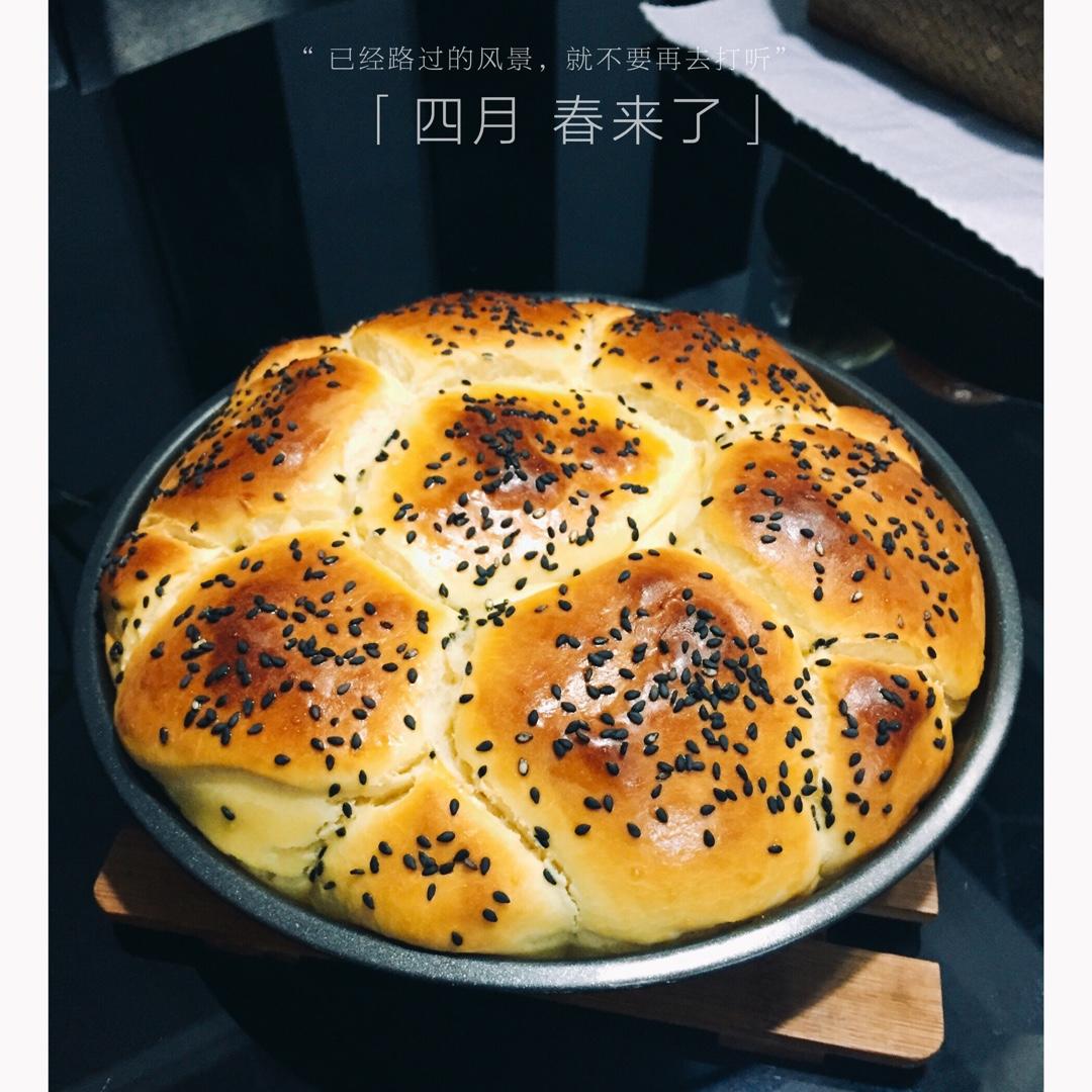 鲜奶油小餐包（一次发酵）