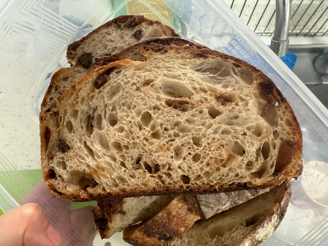 乡村欧包 之 黄金亚麻籽 蜜渍蔓越莓