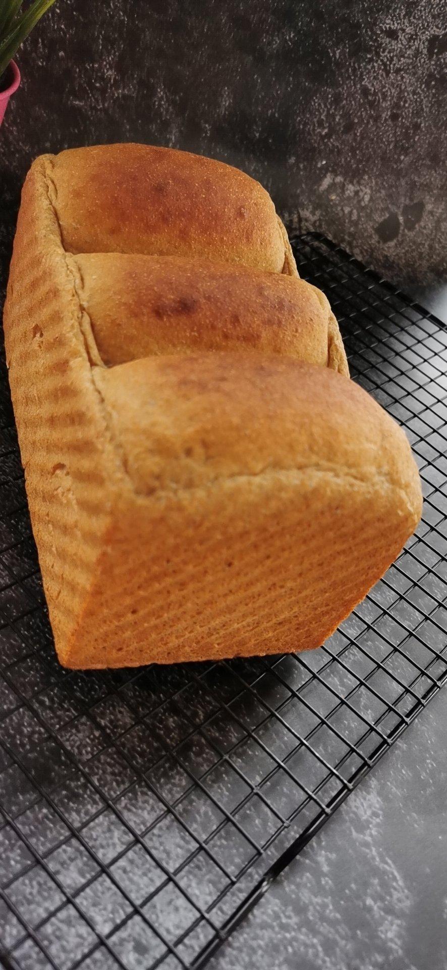 100%纯全麦吐司 中种法
