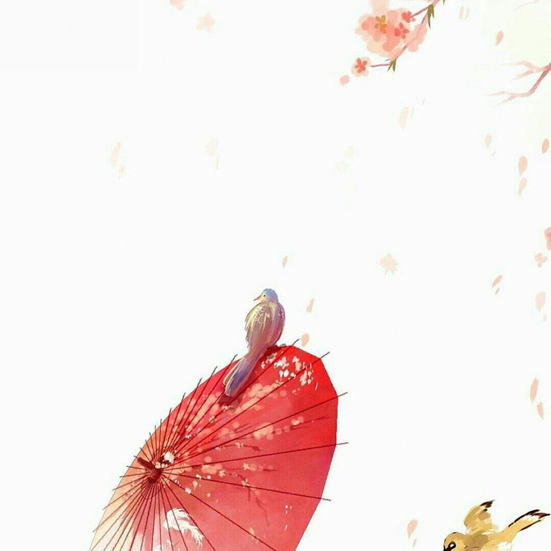 楼小望