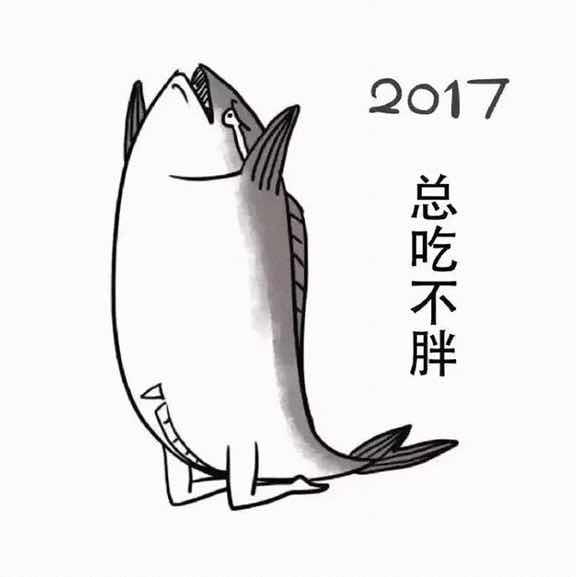 小菲菲菲菲菲阿