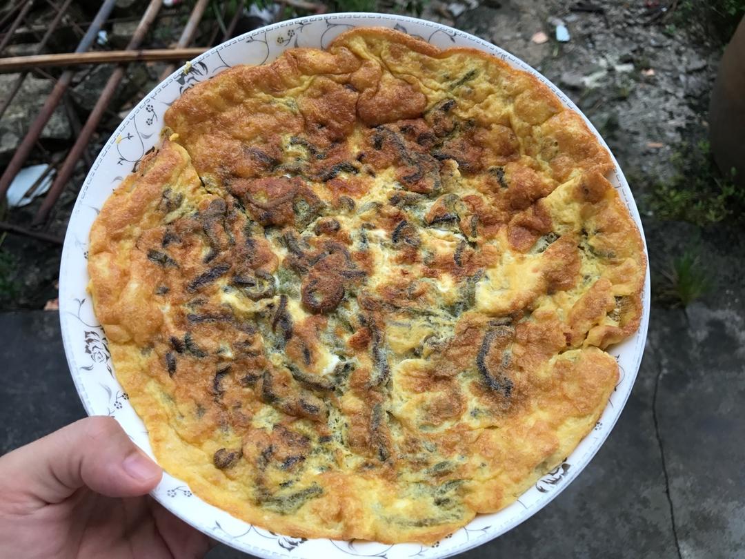 yuxianwangw分享作品晚餐612017年8月6日禾虫煎蛋#晚餐612017年8