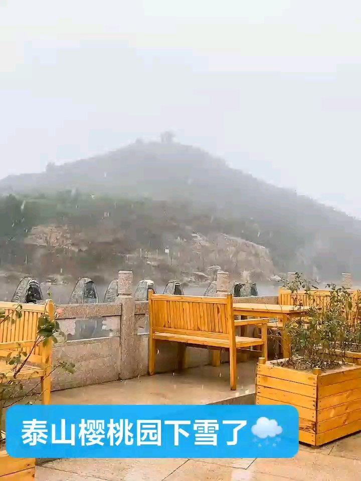 美景美物