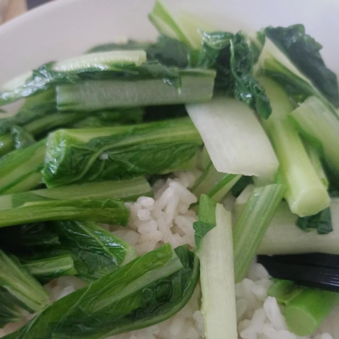 蒜蓉白菜苔