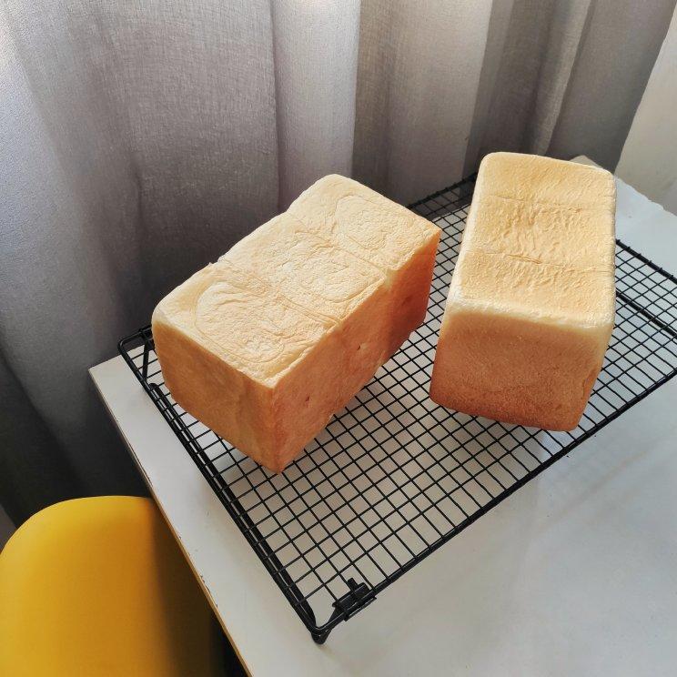 小鱼的小鱼缸