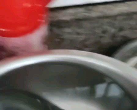豆豉蒸鱼的做法
