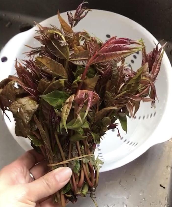 香椿叶炒蛋/春天的味道的做法