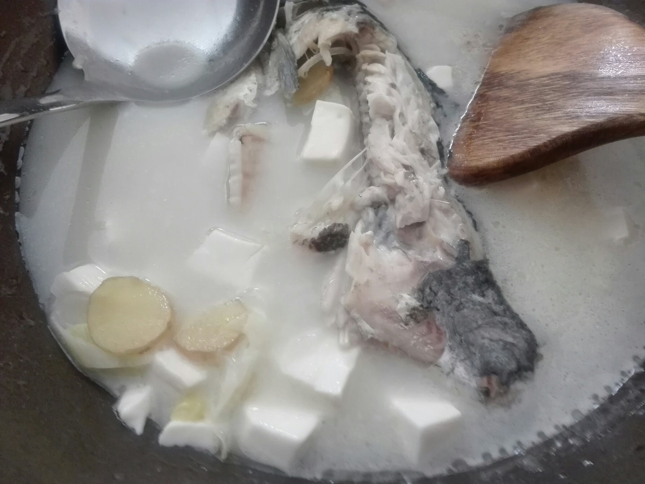 浓厚鱼汤
