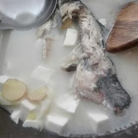 浓厚鱼汤