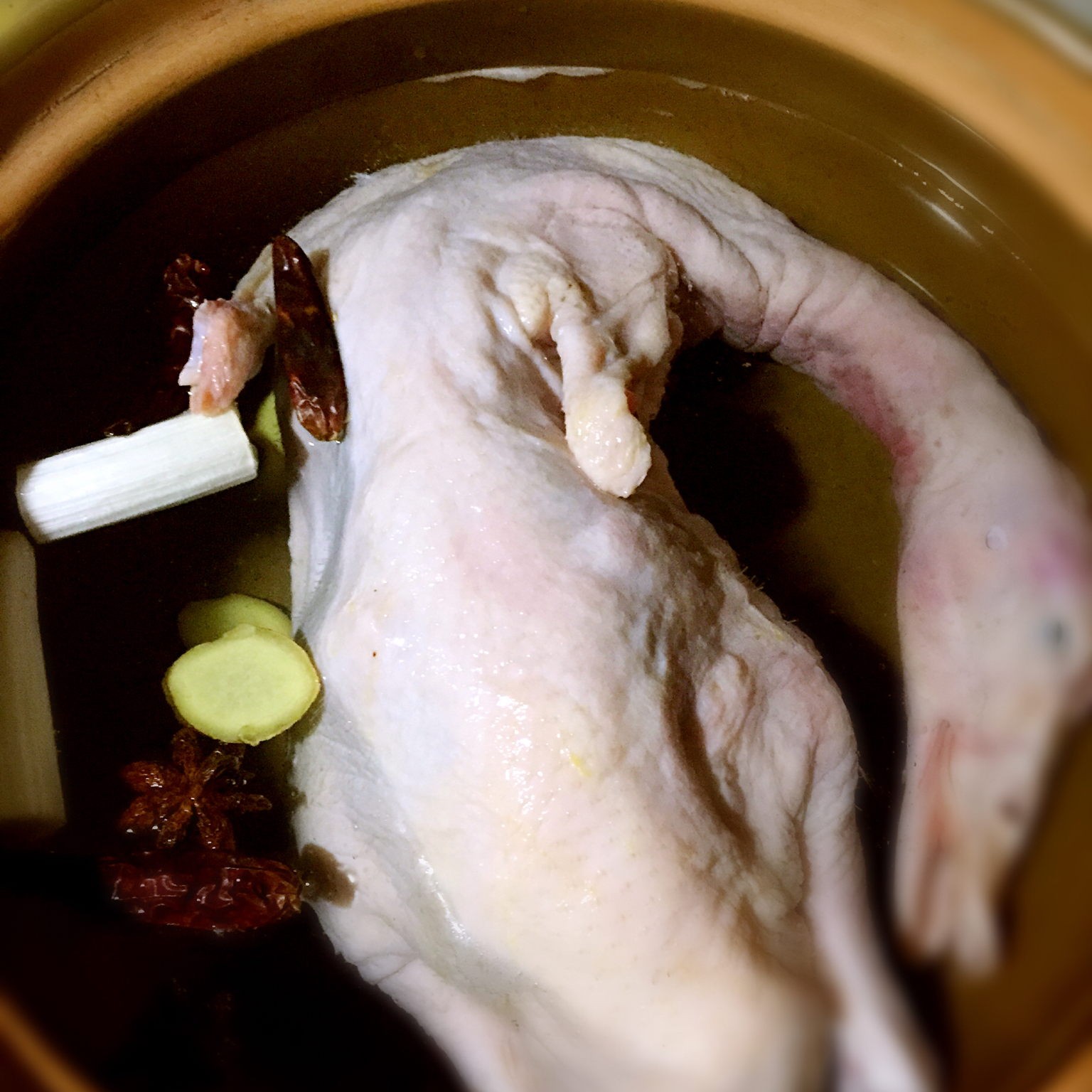 宴客 酸萝卜老鸭汤 琦qq琦做的酸萝卜老鸭汤 鸭子没有抄水!整只炖烂!