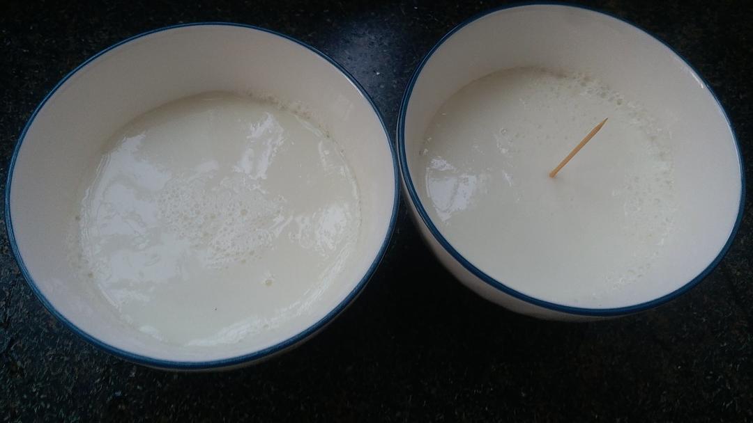顺德双皮奶