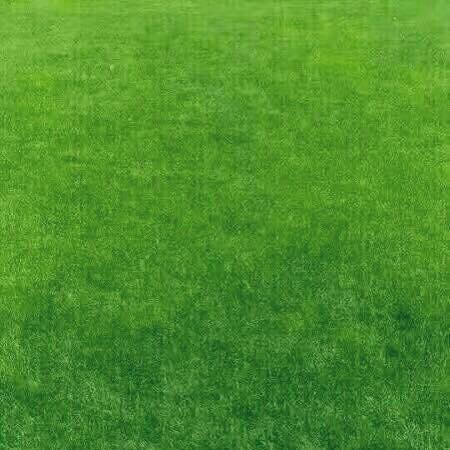 手机用户6789_syph