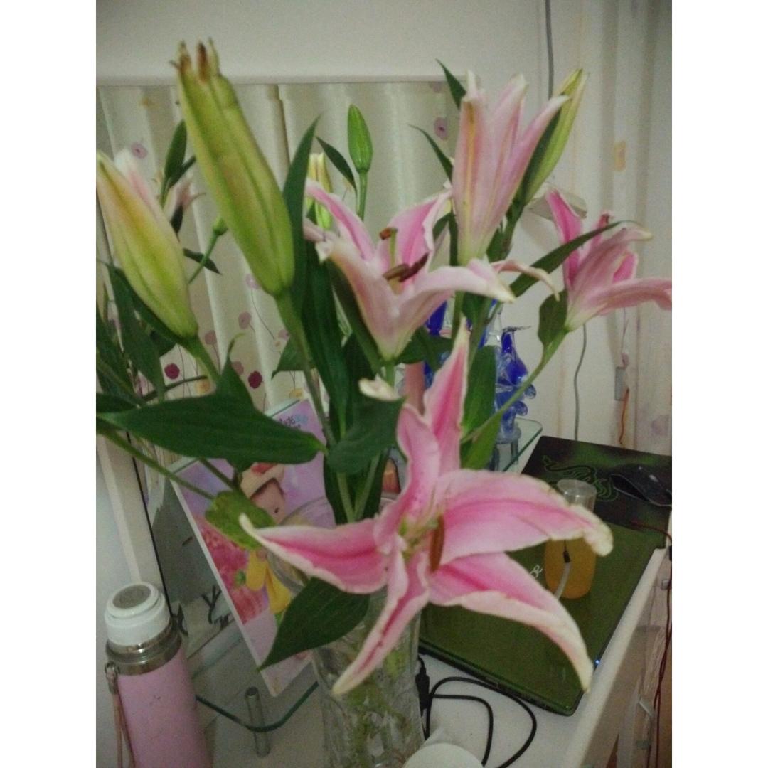 午餐•2017年3月23日