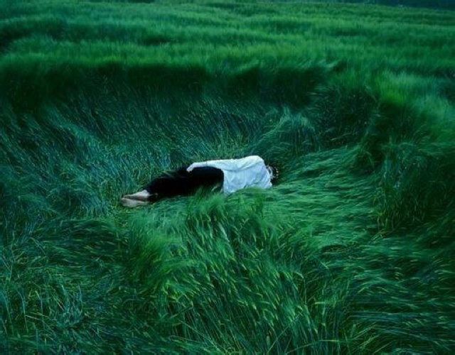 秦青鸦