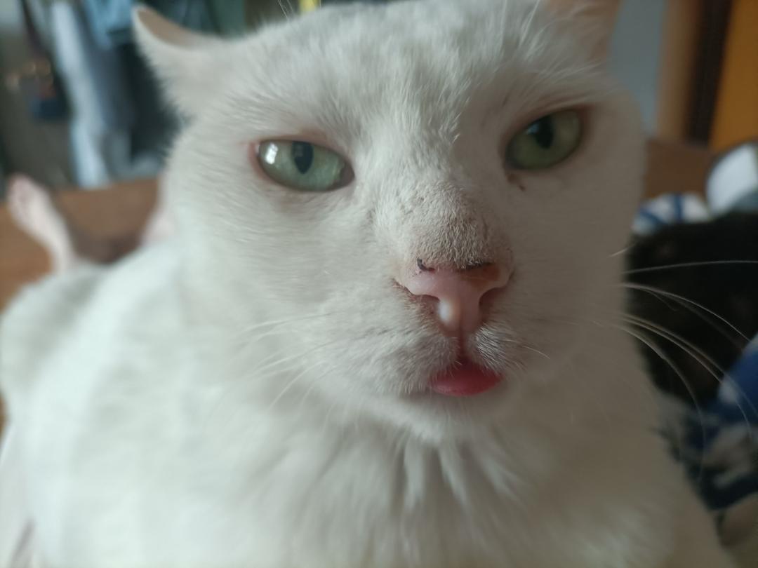 好好吃饭养好身体