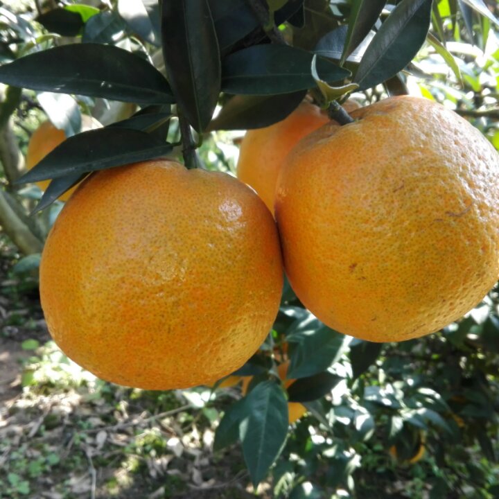 手机用户5926_6uft