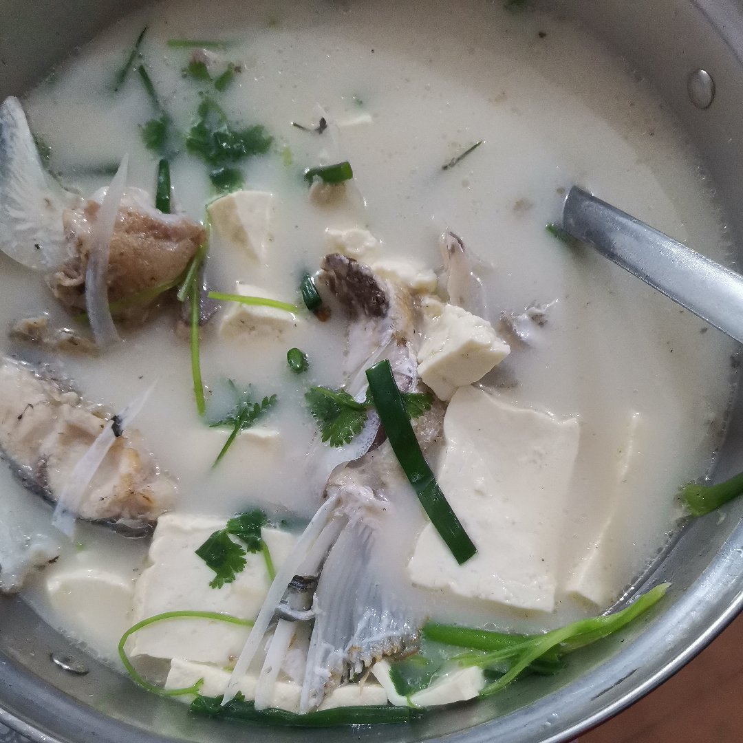鱼头豆腐香菜汤