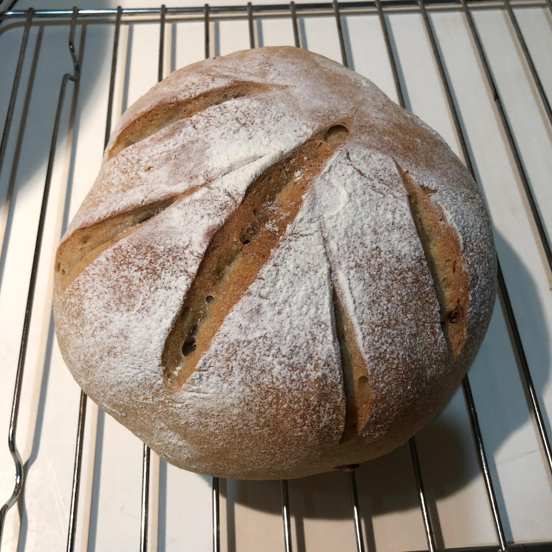 德国婆婆秘方·只多一料·香得上天的全麦核桃蔓越欧包