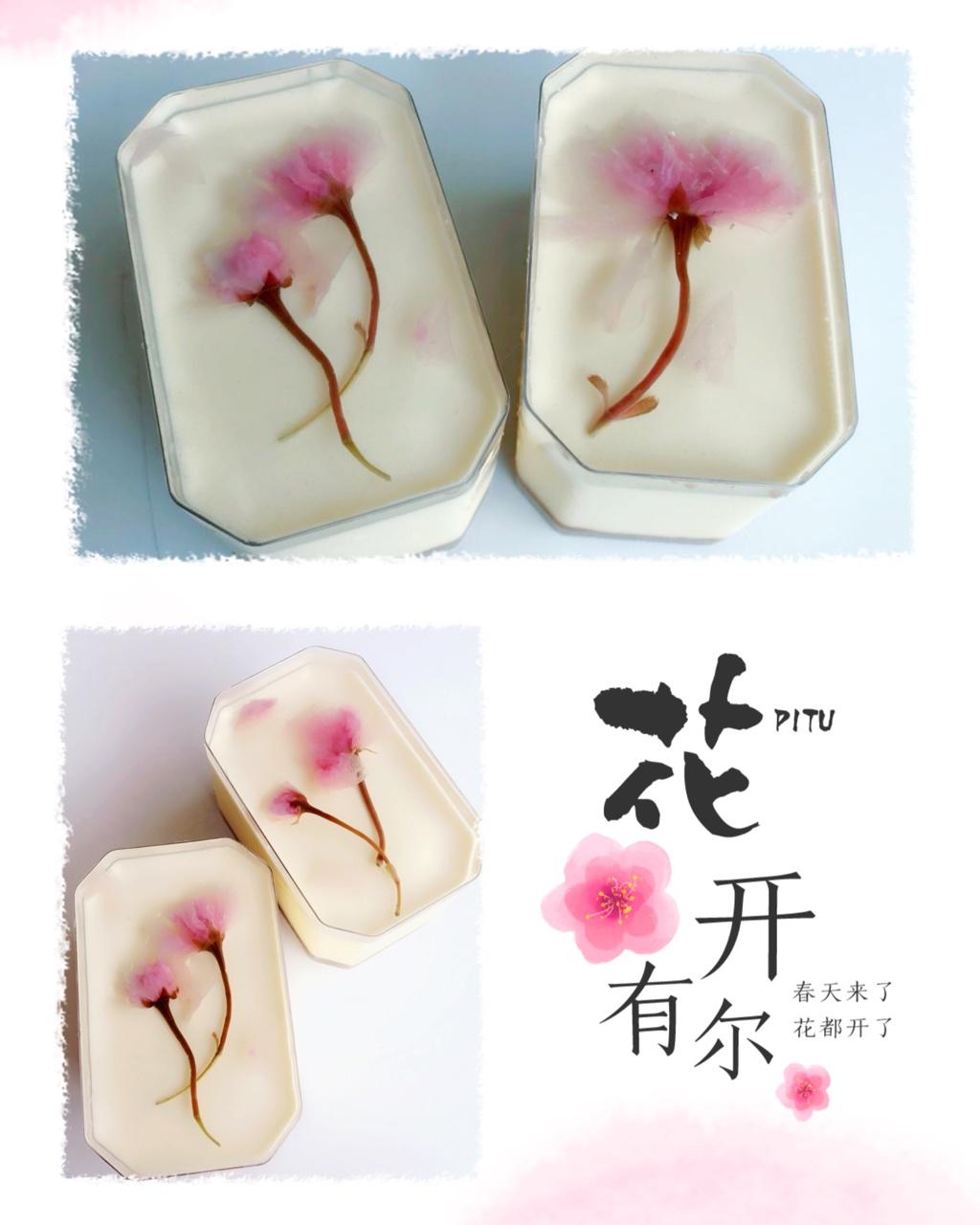 冻酸奶芝士蛋糕