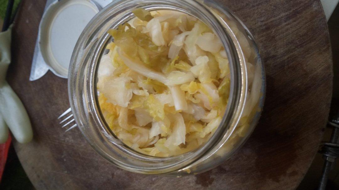 瓶腌酸菜(摘自微信)