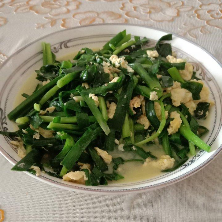 家常版—韭菜炒鸡蛋