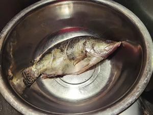 安徽名菜臭鳜鱼的做法 步骤1