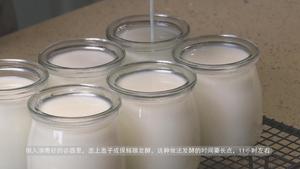酸奶的6种做法的做法 步骤40