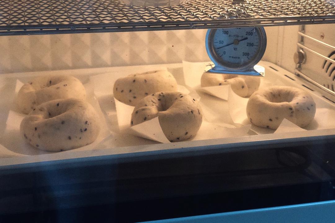 贝果🥯