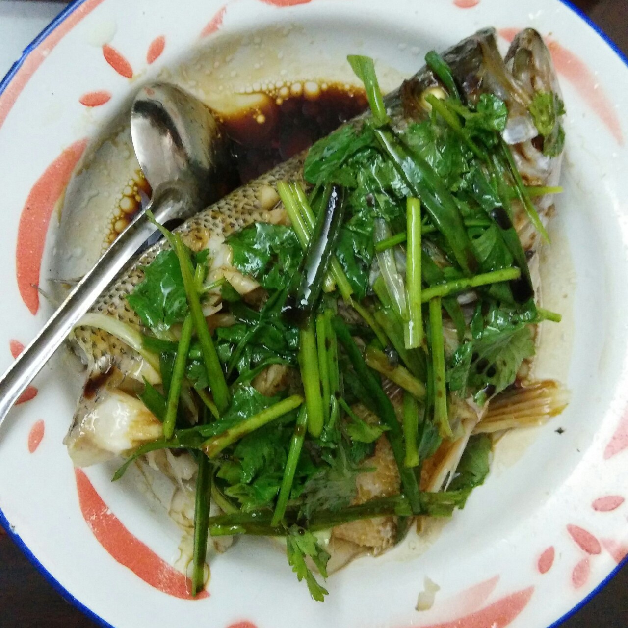 清蒸鱼（鲈鱼/多宝鱼/桂花鱼/石斑鱼……）