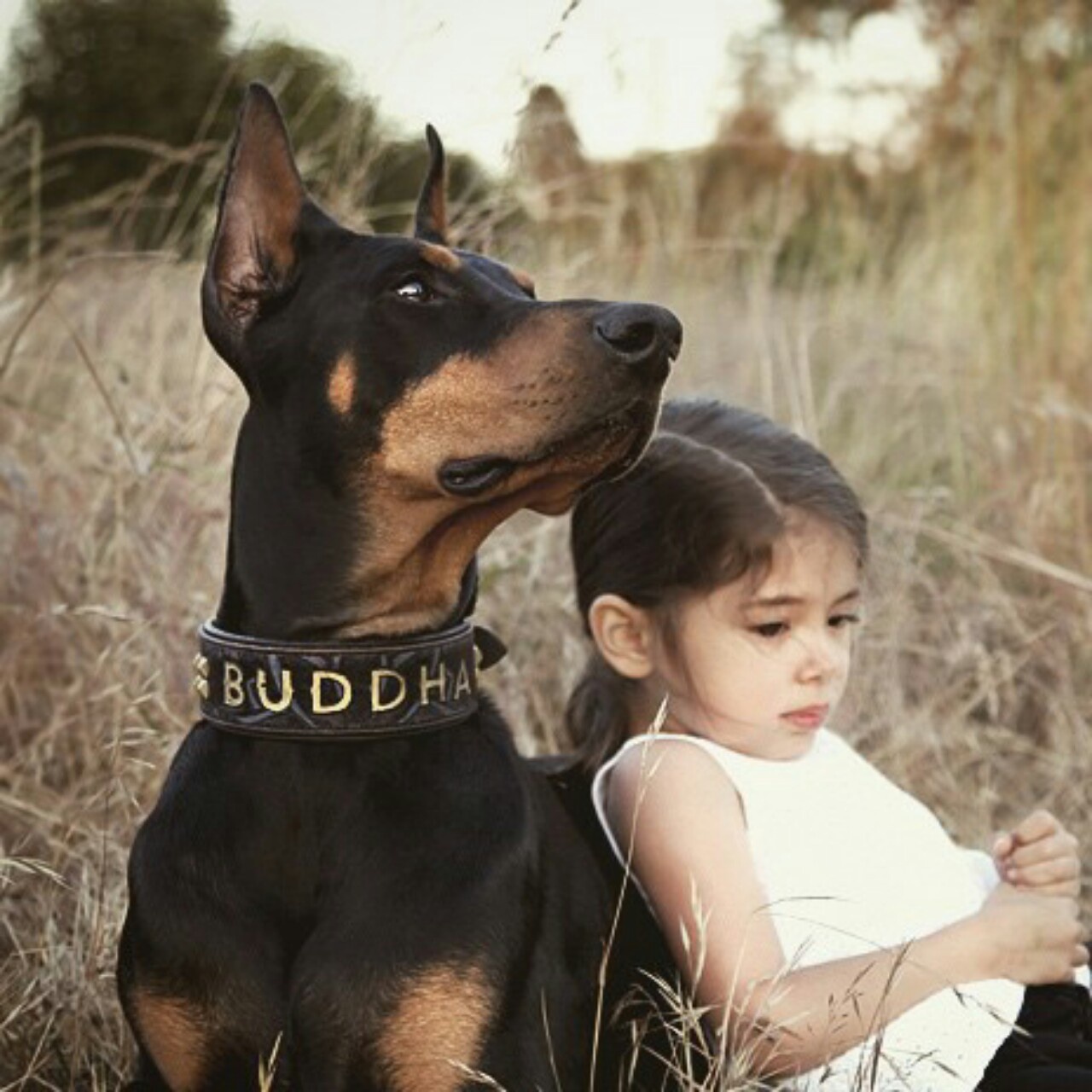 安静的美胖子君