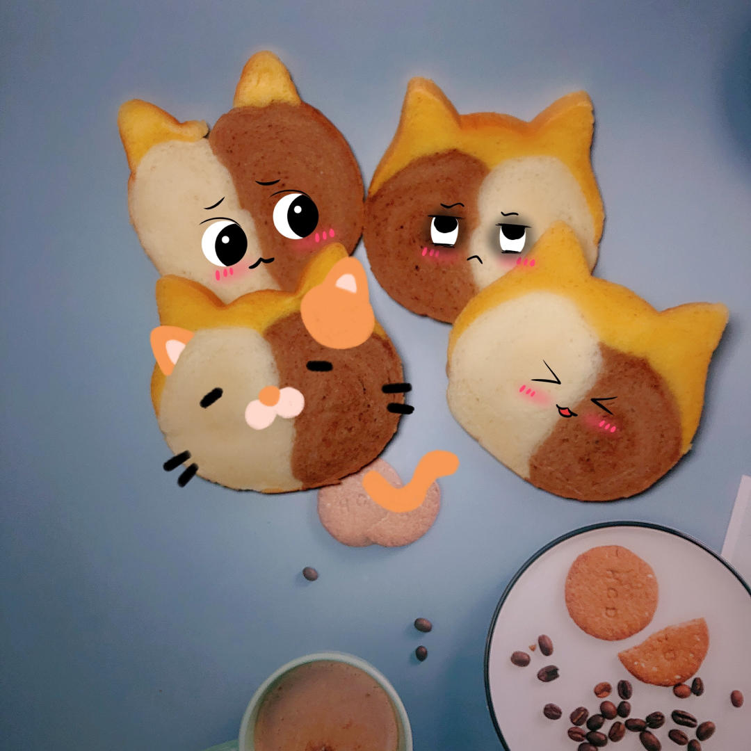 猫咪吐司（两款模具吐司教程）
