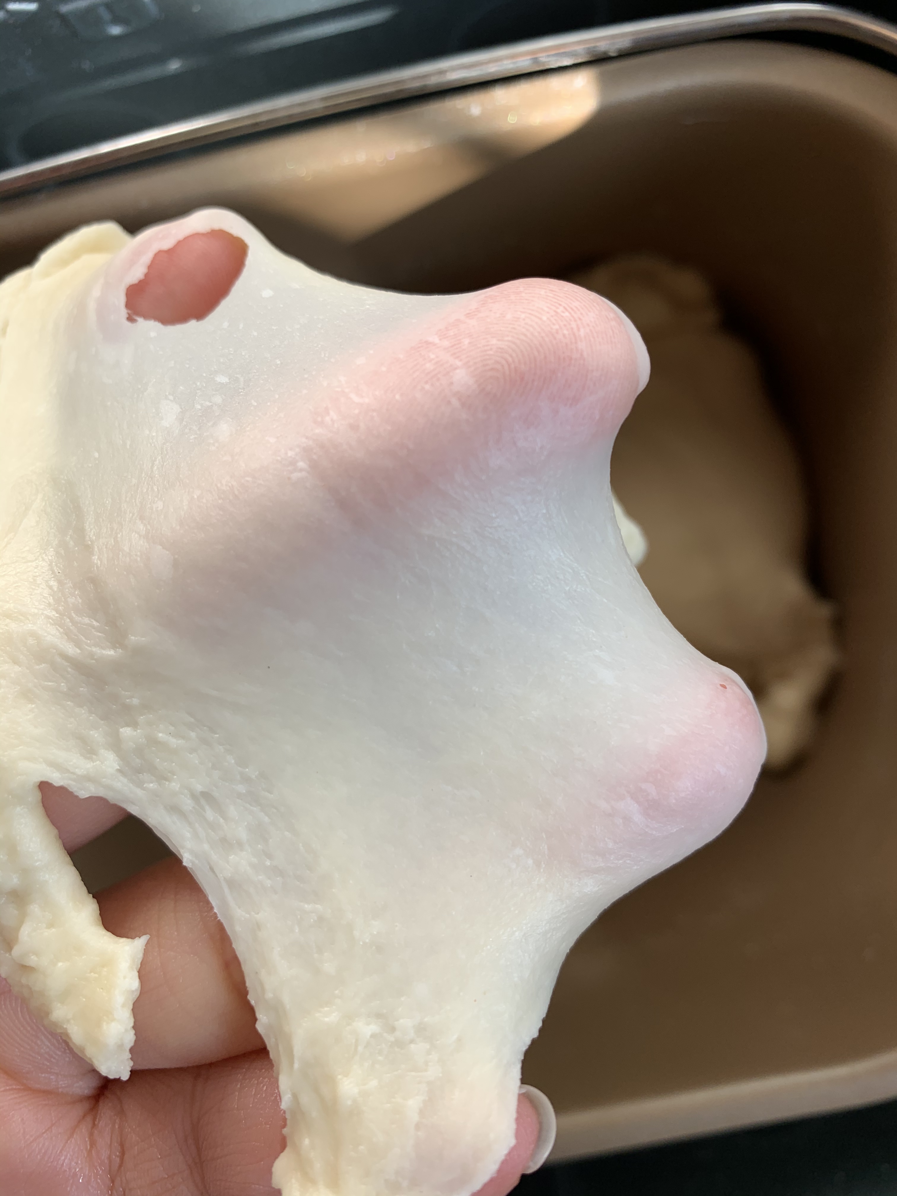 胖fufu的牛奶红豆面包的做法 步骤3