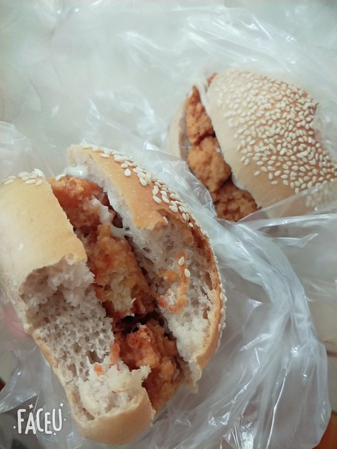 汉堡胚