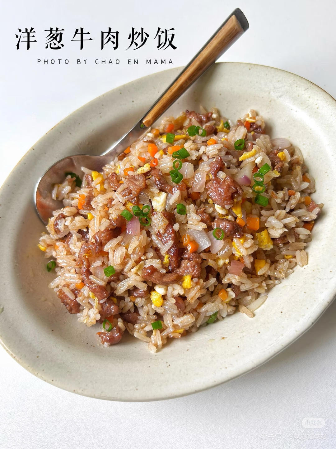 洋葱牛肉炒饭