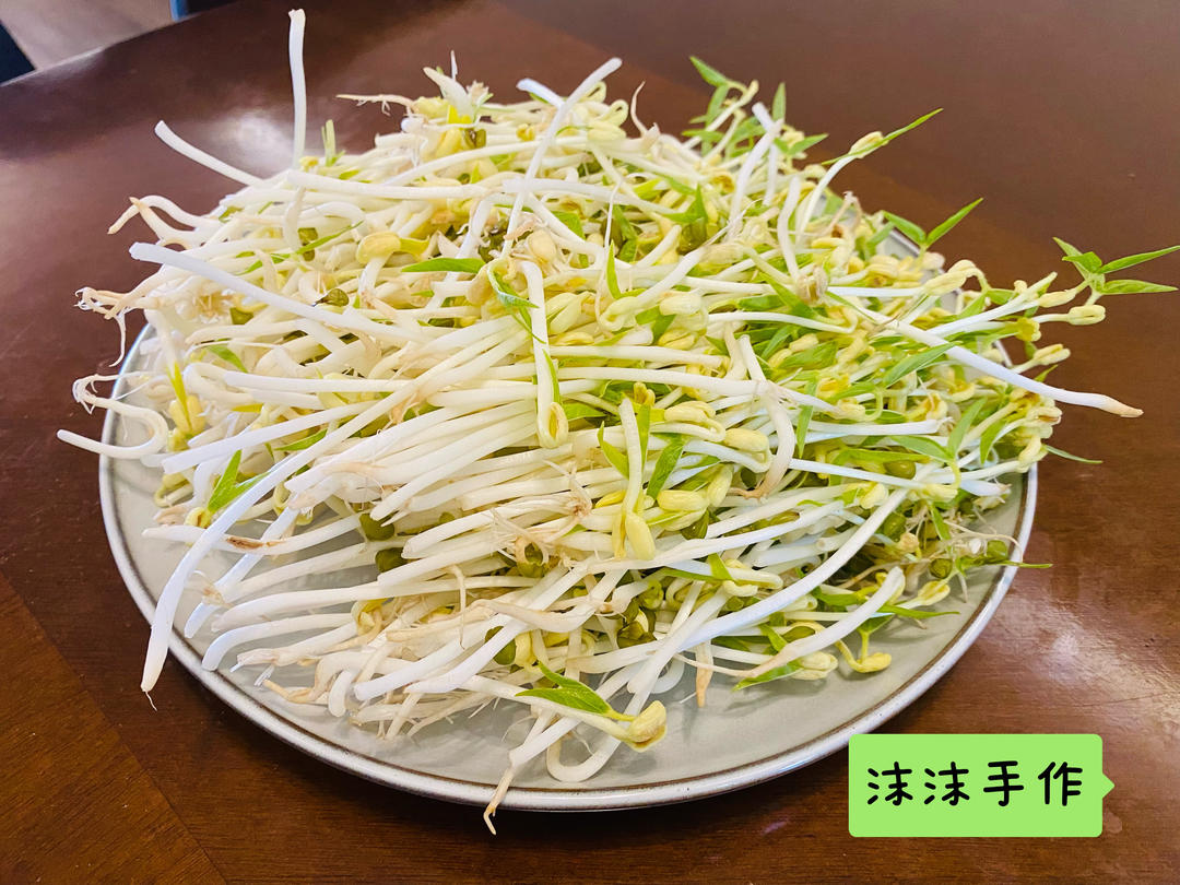 自制绿豆芽