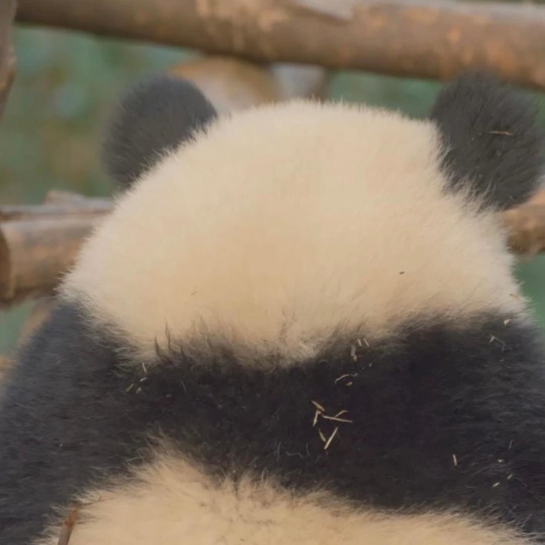 妮好