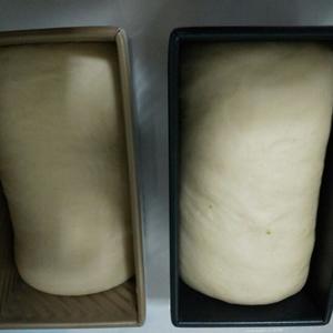 奶油奶酪土司（双色卷）的做法 步骤3