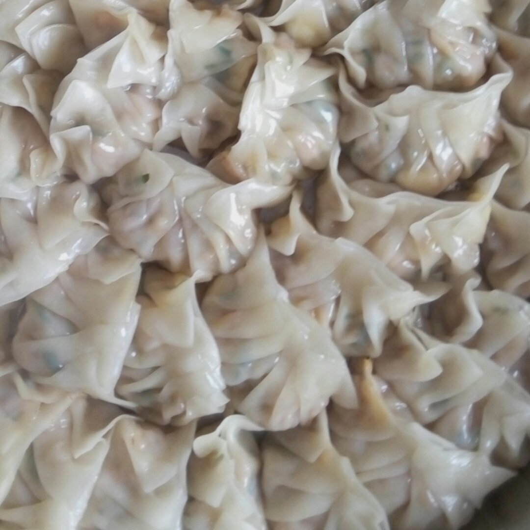 韭菜猪肉饺子(最简单最好吃又最多汁的饺子)