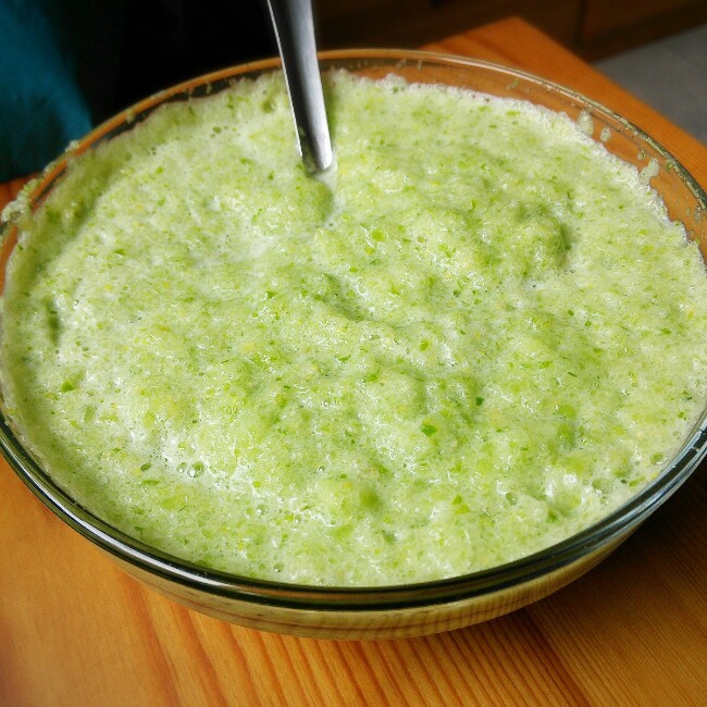 榨汁机 绿色蔬菜汁(catalyst cleanse) mizukiii做的绿色蔬菜汁